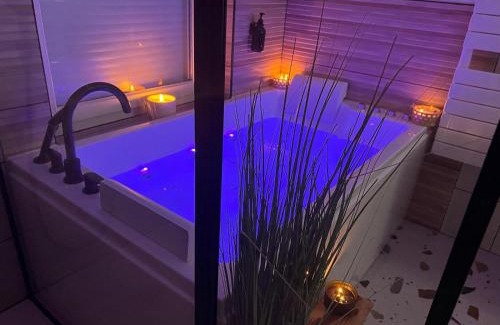 Baudrieres House | Jolie Maison avec Balnéothérapie