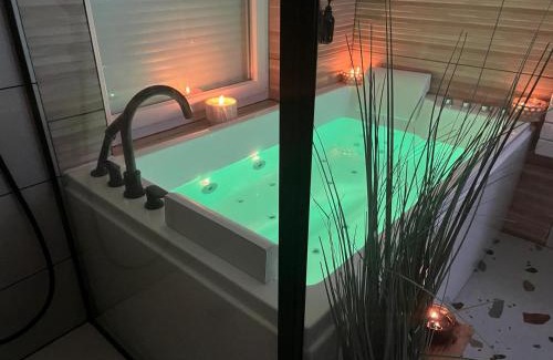 Baudrieres House | Jolie Maison avec Balnéothérapie