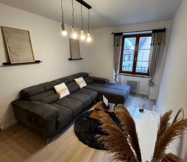 Soultz-Haut-Rhin Apartment | Jolie T2, 55 m, centre ville soultz