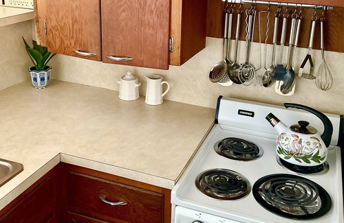 Lake Leelanau Condo | JOLLI-LODGE~Beach Resort in Leland