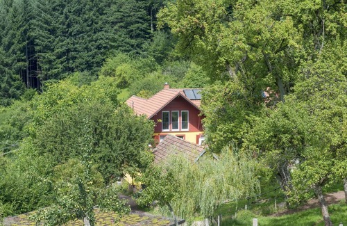 Freiamt House | Jolly Joker Comfortable holiday residence