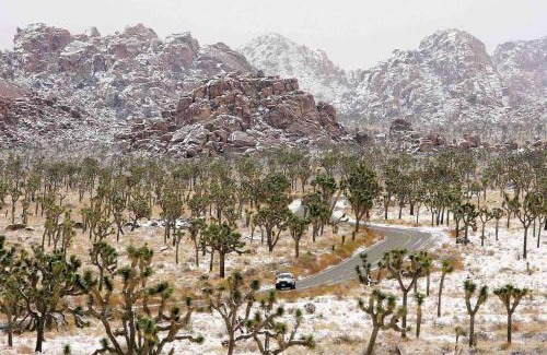Joshua Tree Highlands House | Joshua Tree’s Highland Hideaway Compound