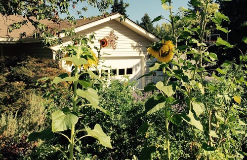 Friendly House | July and August Rental. College Hill/Friendly Neighborhood. 4 bedroom 3 bath