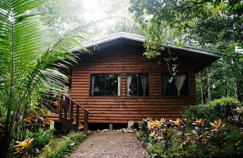 Parrita Villa | Jungle and river view cabin., lowest nightly rates!