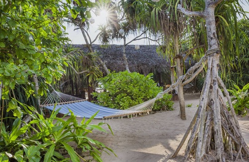 Ahungalla House | Jungle Beach Camp Ahungalla - Standard Glamping Bungalow
