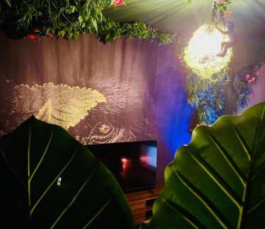 Belfort Apartment | Jungle Chic Apartment, Balneo, Close to center