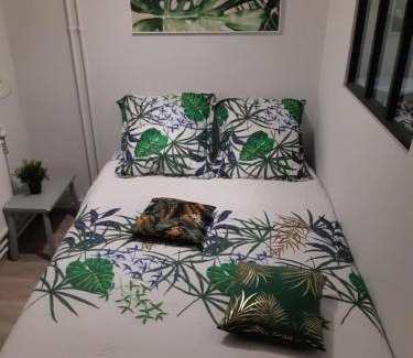 Plantieres Queuleu Apartment | Jungle