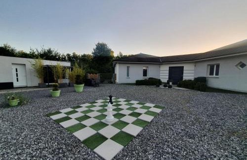 Mios Apartment | Jungle