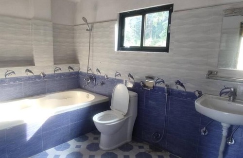 Pokhara Cabin | Jungle front lodge