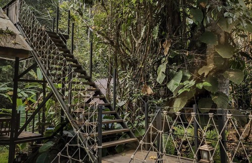 Doi Saket Cabin | Jungle Glass Box Waterfall View