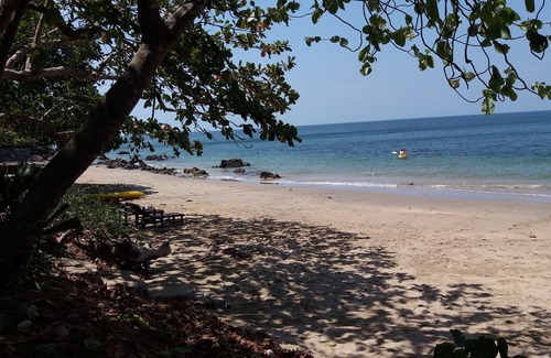 Nuea Khlong Hotel | Jungle Hill Beach Bungalow