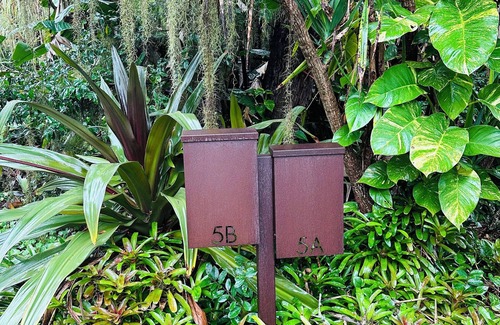 St. Augustine House | Jungle House in historic Saint Augustine Florida