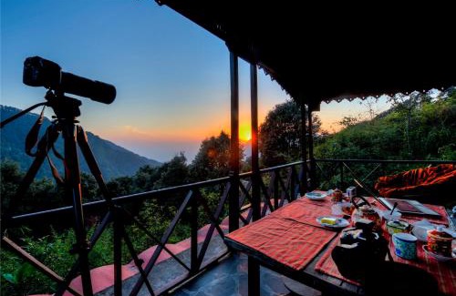 Pangot Cabin | Jungle Lore Birding Lodge
