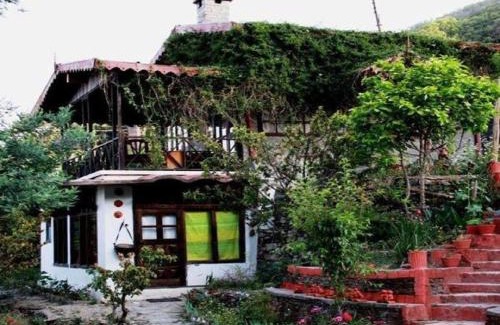 Pangot Cabin | Jungle Lore Birding Lodge