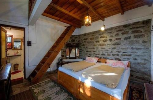 Pangot Cabin | Jungle Lore Birding Lodge