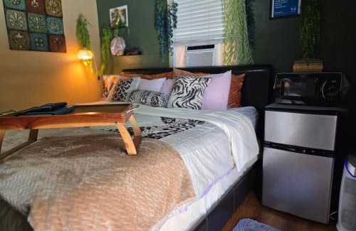 Temple Terrace Apartment | Jungle Oasis By Busch Gardens USF and Amphitheater
