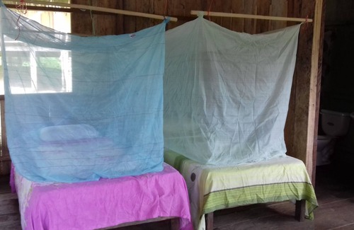 Iquitos House | Jungle Reps