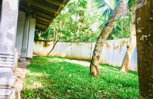 Weligama House | Jungle - Surf and Culture Retreat
