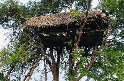 Anuradhapura Other | Jungle Tree Hut Anuradhapura Sri Lanka