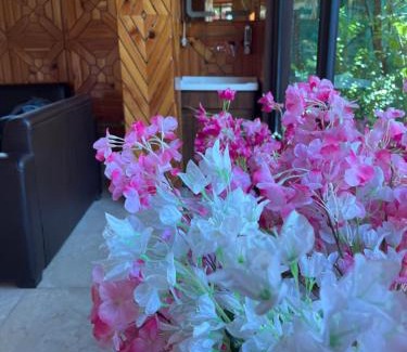 Jibhi Apartment | Jungle tree