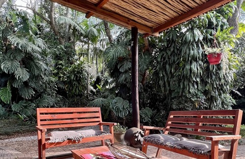 Nelspruit Apartment | Jungle view apartment with big patio - LoerieRoep Unit 4