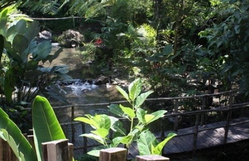 Pakem Villa | Junior Villa traditional Javanese Joglo