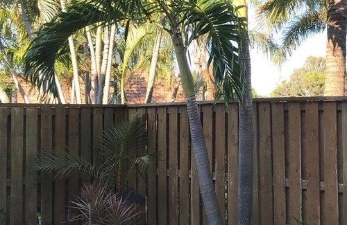 Jupiter One House | JUPITER ONE WALK TO BEACH/INTRACOASTAL AVAIL. FALL '25; SEASONAL '26 4 mos min