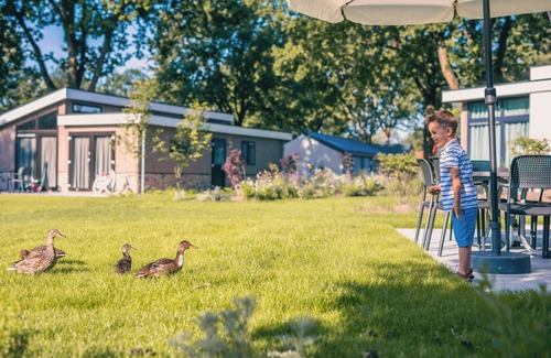 Kaatsheuvel House | Just Nature 4