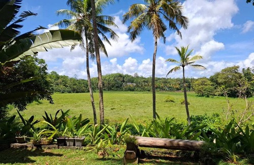 Hikkaduwa Villa | Just Re-opened - Stone Well Garden villa - 3 bedroom villa with infinity pool