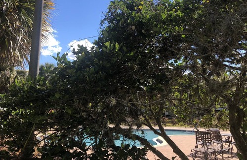 Dunedin Apartment | Just steps from the pool and a few miles to Clearwater beach