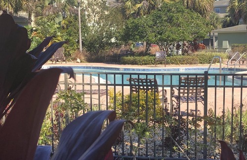 Dunedin Apartment | Just steps from the pool and a few miles to Clearwater beach
