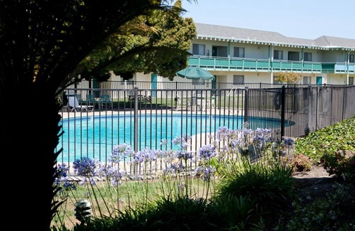 East End Apartment | Just What You Were Looking For! Free Breakfast, Free Parking, Pool!