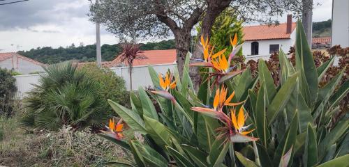 Alcobaca Apartment | 'Kairos Casa'