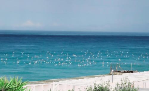 Giovinazzo Bed & Breakfast | Kalè