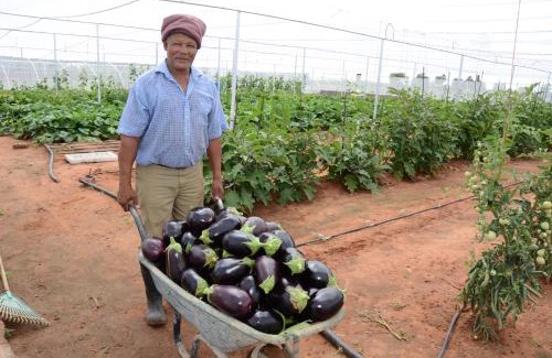 Strampriet Other | Kalahari Farmhouse Campsite