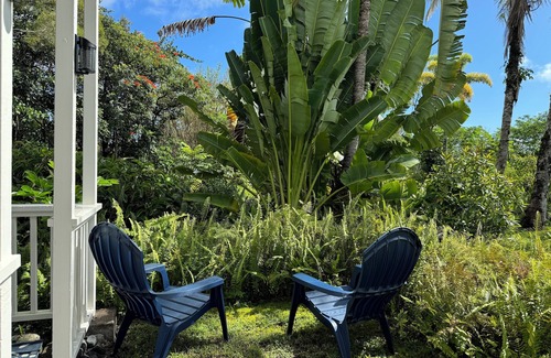 Keaau Apartment | Kaloli Point retreat 3 blocks from the ocean and minutes to Shipman Beach trail!