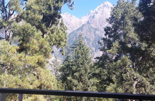 Kalpa House | KALPA JUNGLE RETREAT