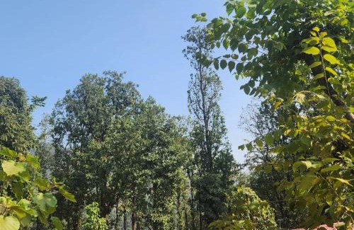 Haridwar Other | Kanaar Jungle View Resort