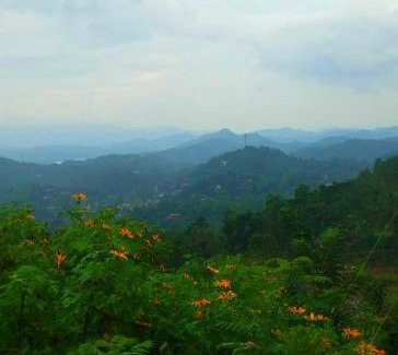 Kandy Resort | Kandy IVY Banks Mountain View Resort