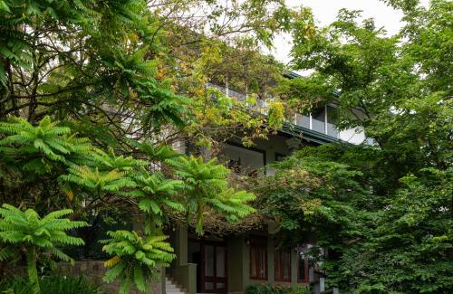 Kandy House | Kandy Tree Tops