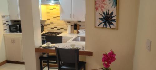 Pointe Michel Apartment | KanXio's Apartment