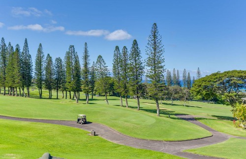 Kapalua Apartment | Kapalua Extraordinaire with Glorious Ocean Views!