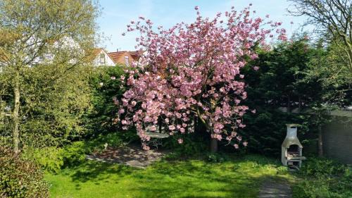 Breskens House | Kapiteinshuis Breskens