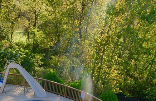 Linn Creek House | Karis Cottage - Private Pool and Dock on 20 Lakefront Acres