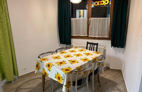 Central Interlaken Apartment | KARL Apartment