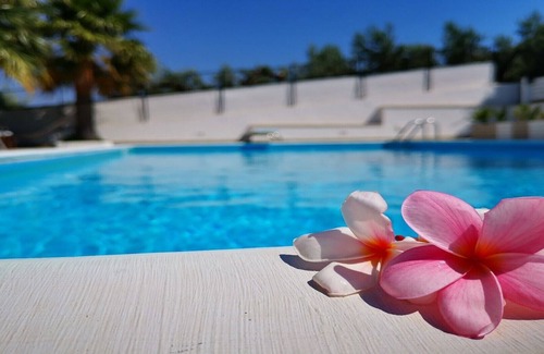 Bonagia Villa | Kaunis ja Mukava Huvila Yksityisellä Uima-altaalla San Vito lo Capoon