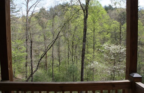 Ellijay Cabin | ✨KAYAKS✨River TUBES✨Pool table✨Mounts & ✨Antique Decor!