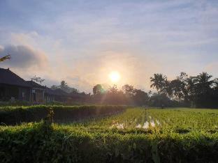 Kenderan Villa | Kayangan Villa Ubud