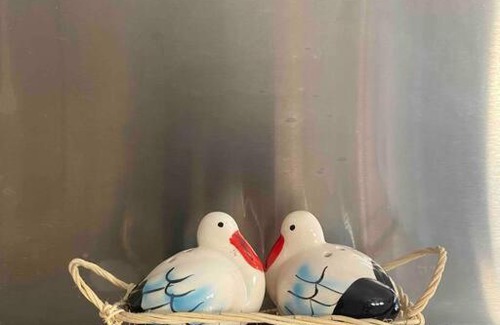 Ammerschwihr Apartment | Kaysersberg centre historique à 20 mn de Colmar