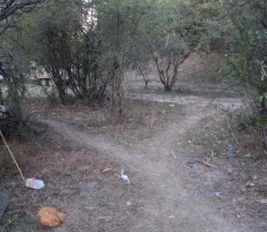 Kongola Other | Kayubo Campsite